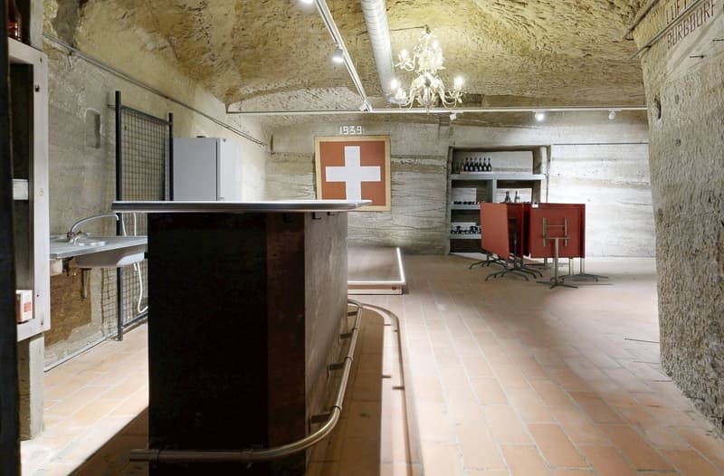 Une propriété de ville ancienne digne avec beaucoup de potentiel et un jardin magnifiquement conçu (15)
