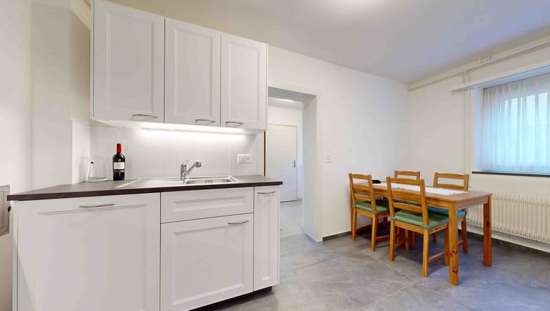 A huge house on a lot of land with unobstructable views for one or two families (29)
