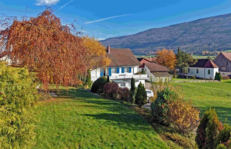 A huge house on a lot of land with unobstructable views for one or two families (8)