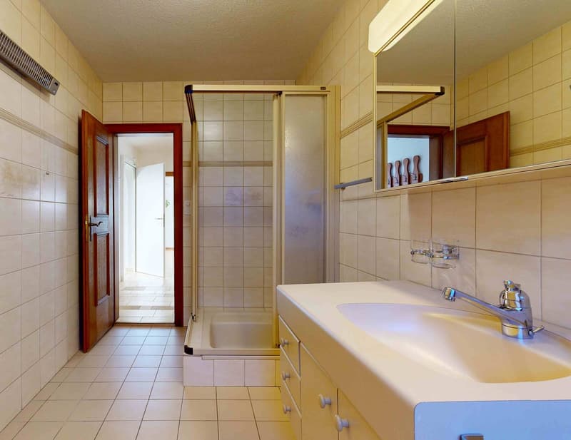 A huge house on a lot of land with unobstructable views for one or two families (31)