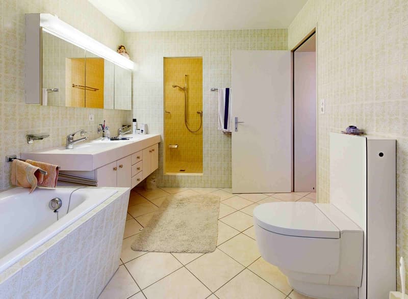 A huge house on a lot of land with unobstructable views for one or two families (25)