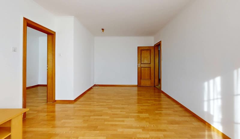 A huge house on a lot of land with unobstructable views for one or two families (32)