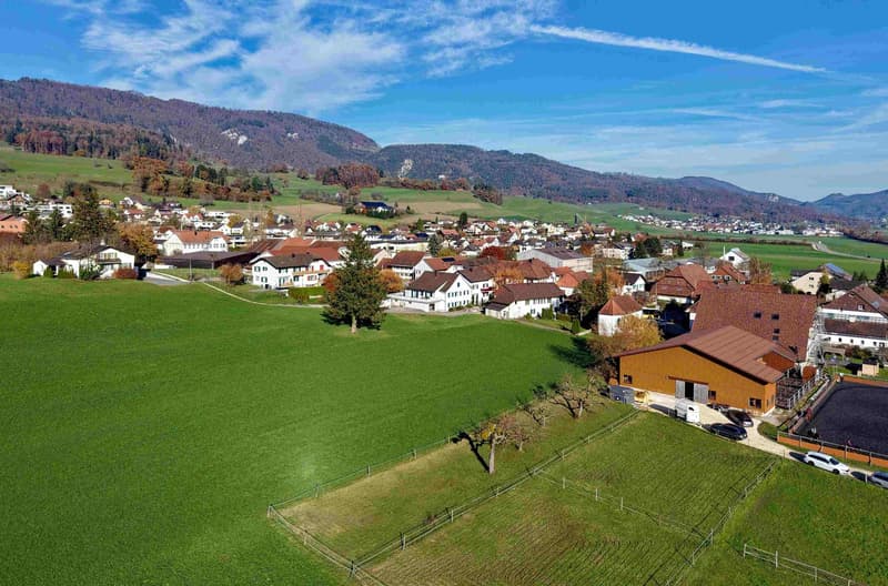 A huge house on a lot of land with unobstructable views for one or two families (12)