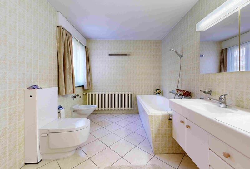 A huge house on a lot of land with unobstructable views for one or two families (24)