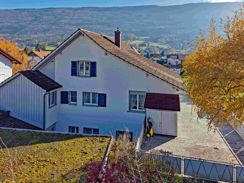 A huge house on a lot of land with unobstructable views for one or two families (5)