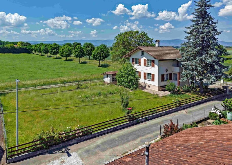 Charmant, spacieux et idyllique, peut-être grand, moderne ou même un nouveau bâtiment (6)