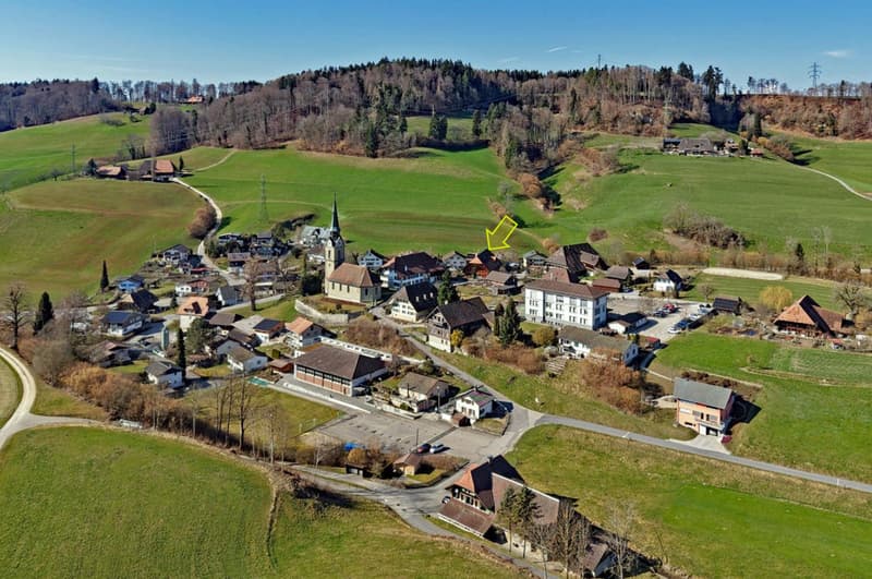 Situato in modo splendido su un grande terreno - enorme appartamento in mansarda con casa aggiuntiva e un giardino molto grande (9)
