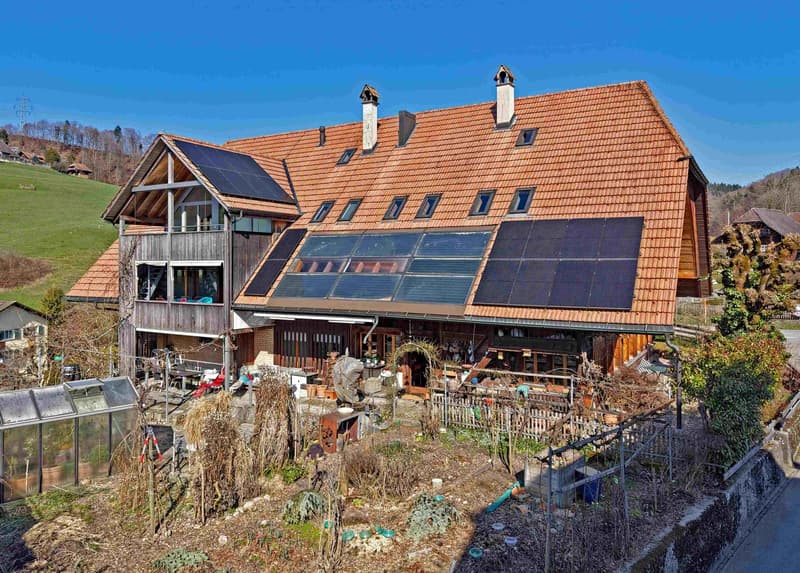 Situato in modo splendido su un grande terreno - enorme appartamento in mansarda con casa aggiuntiva e un giardino molto grande (3)