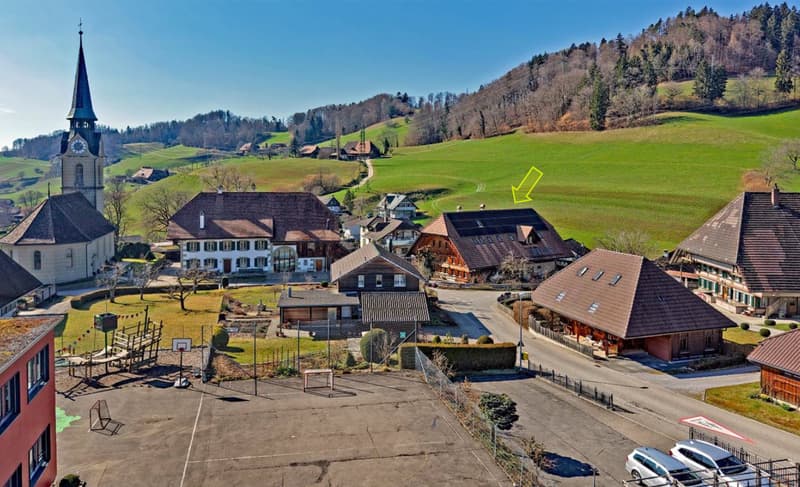 Situato in modo splendido su un grande terreno - enorme appartamento in mansarda con casa aggiuntiva e un giardino molto grande (6)