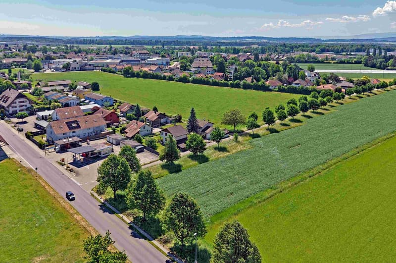 700 m² de terrain avec vue - pour les personnes ayant une vision (9)