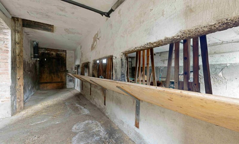 Plus de 2'300 m² de terrain dans un emplacement idéal (20)