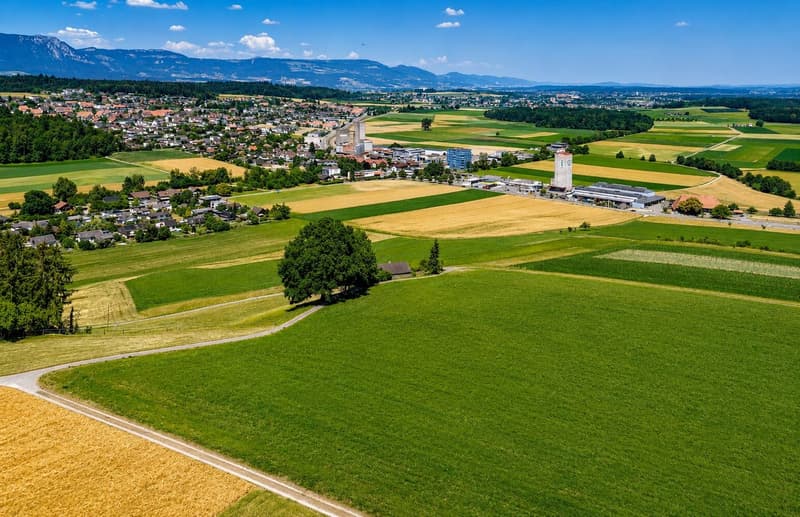 Fasch allei. U trotzdäm z Mitz drin. (9)