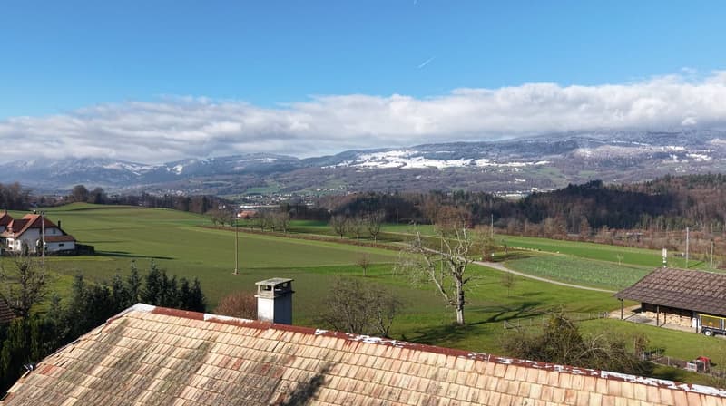 Freie Blick uf Aare u Jura - ändlech Bouland mit meh Chance u Potenzial aus Risike u Uflage (15)