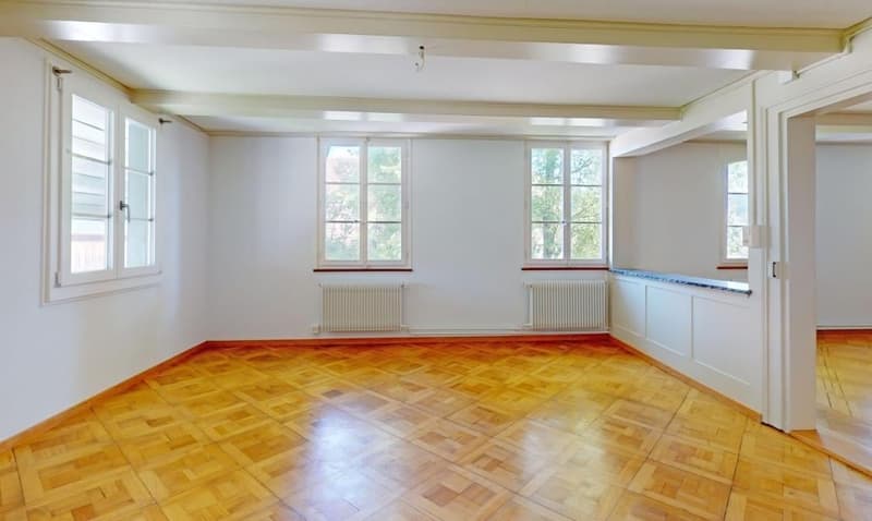 Ä einmalig schöne Wohnstock mit drei riesige Wohnige, wo aber ou ideali Büro chönnte sii (21)