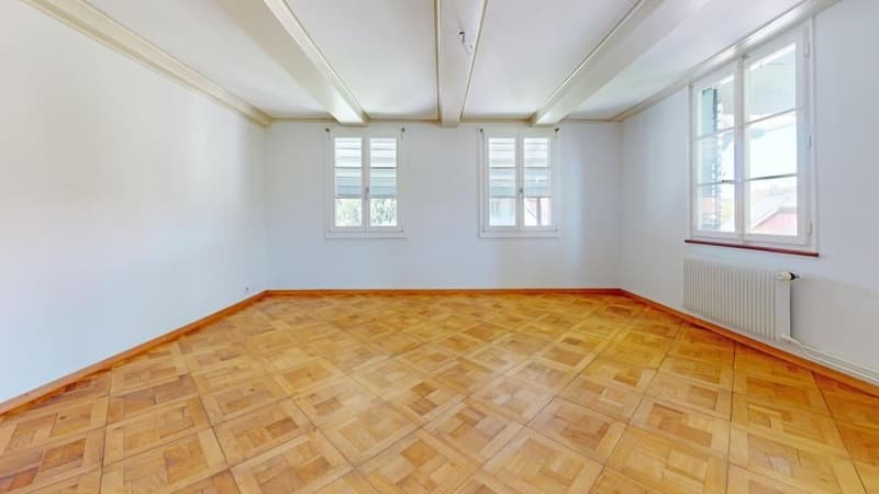 Ä einmalig schöne Wohnstock mit drei riesige Wohnige, wo aber ou ideali Büro chönnte sii (20)