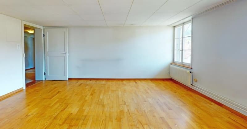 Ä einmalig schöne Wohnstock mit drei riesige Wohnige, wo aber ou ideali Büro chönnte sii (22)