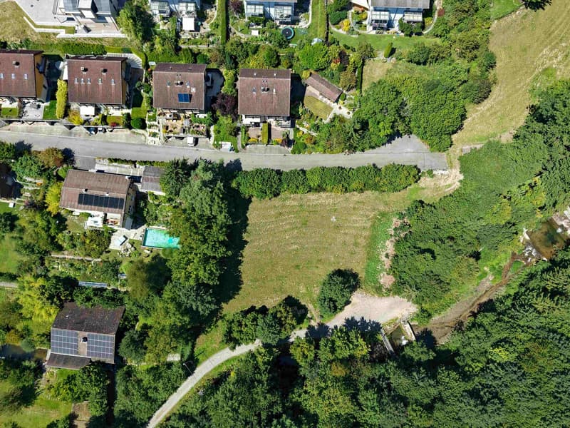 Z' Beschte bis zum Schluss gspart  - ä wahnsinns Boulandparzälle, wo äuä fasch jede Troum erfüllt (5)