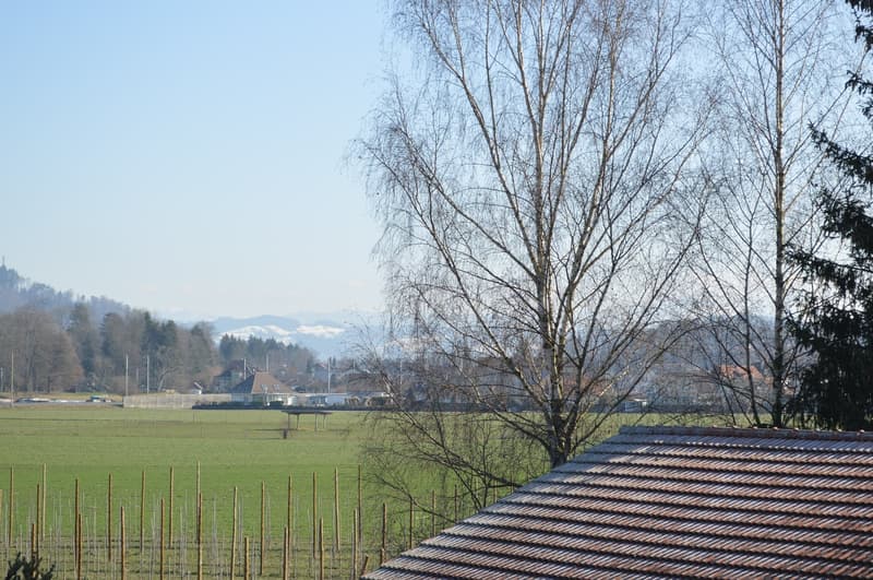 Moderne 3.5-Zimmer-Wohnung mit Bergblick in Hasle b. Burgdorf (15)