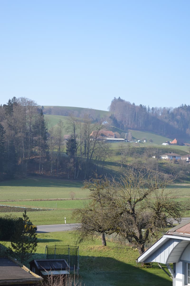 Moderne 3.5-Zimmer-Wohnung mit Bergblick in Hasle b. Burgdorf (9)