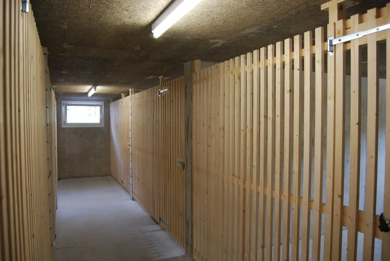 Appartamento moderno 4.5 locali con molta luce nel cuore dell'Emmental (17)
