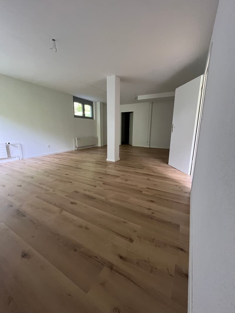 Zimmer_2