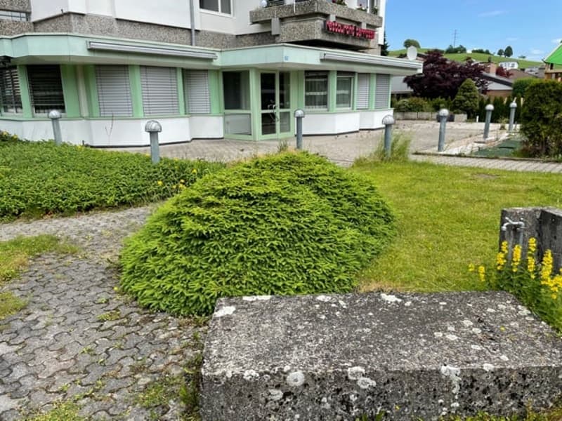 Building has green trim with white exterior, large windows, sign on front, stone walkway and landscaping