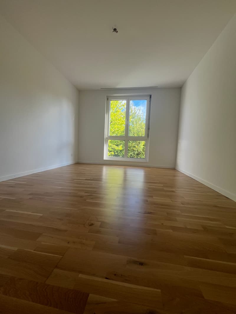 Zimmer