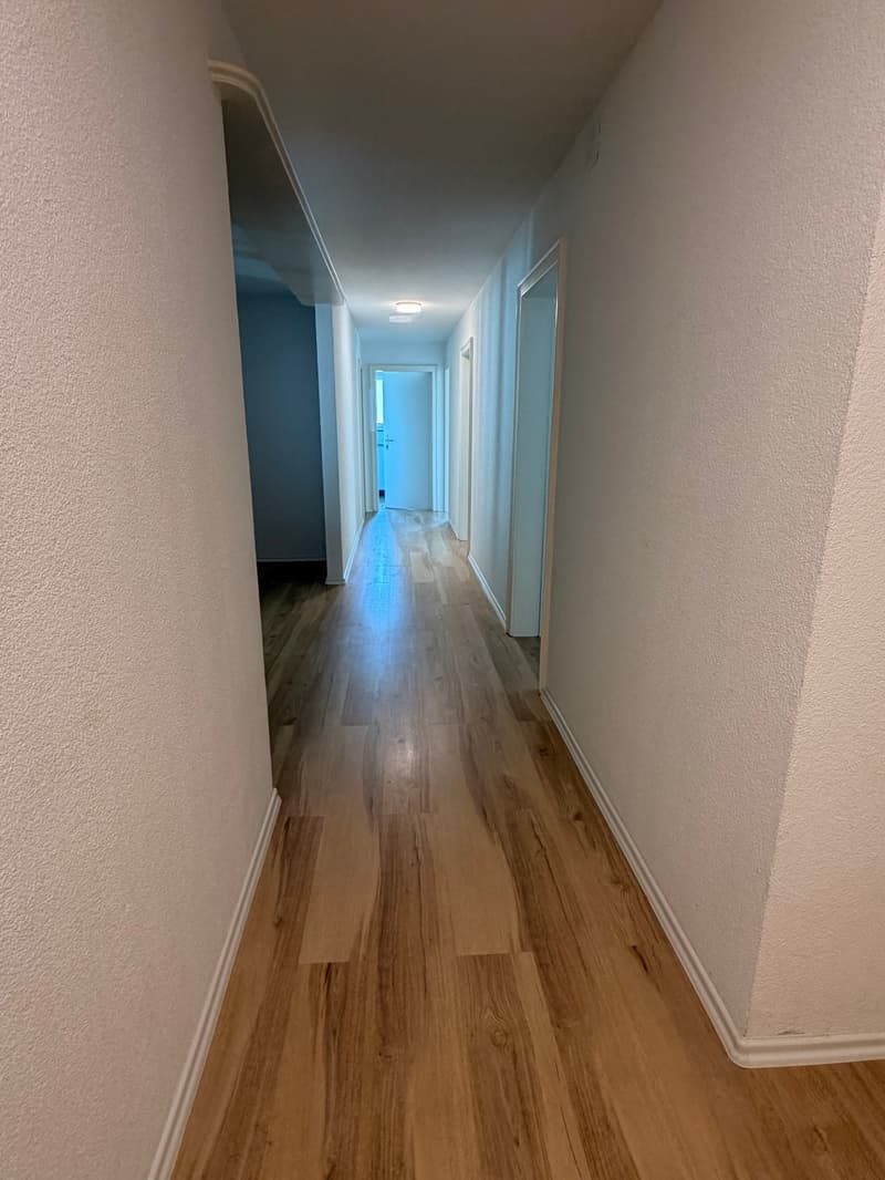 Bright 4-room apartment with balcony and beautiful view in Lucerne (11)
