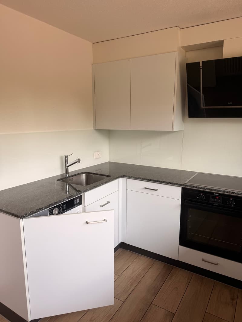 Bright 4-room apartment with balcony and beautiful view in Lucerne (8)