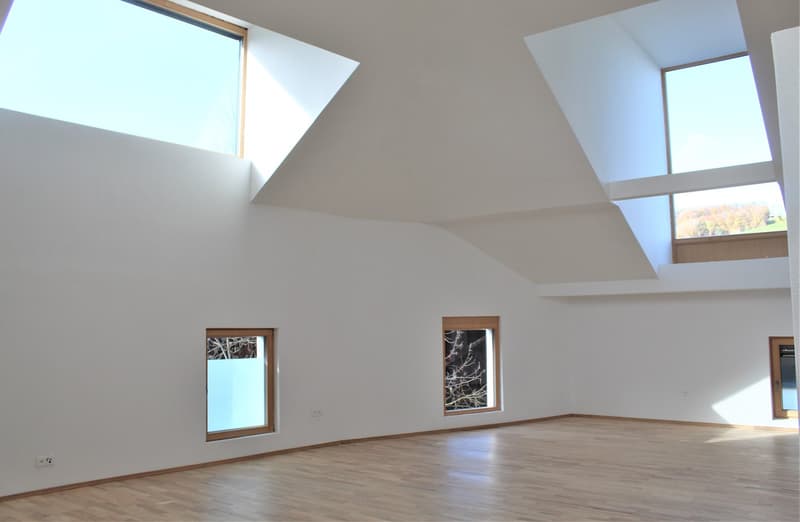 Appartement maisonnette moderne 4.5 pièces à Beinwil am See – disponible immédiatement (1)