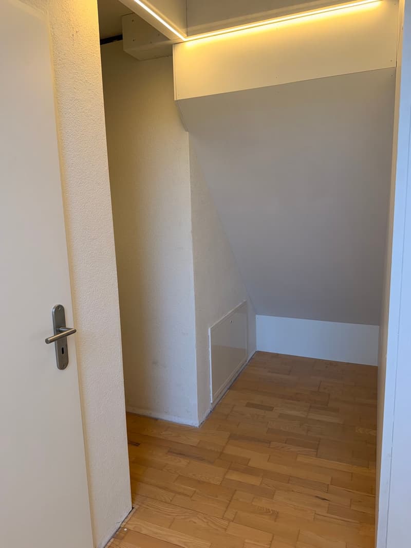 Appartement maisonnette moderne 4.5 pièces à Beinwil am See – disponible immédiatement (8)