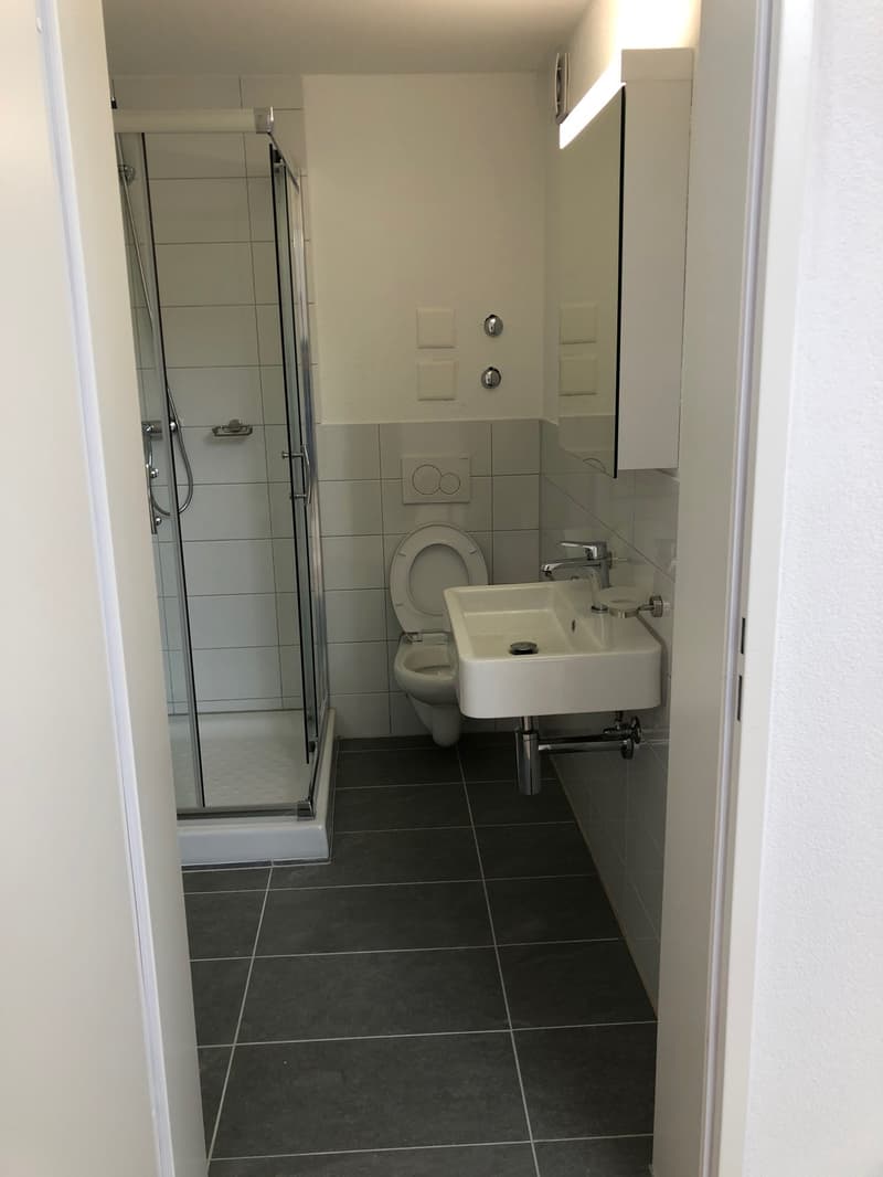 Appartement maisonnette moderne 4.5 pièces à Beinwil am See – disponible immédiatement (16)