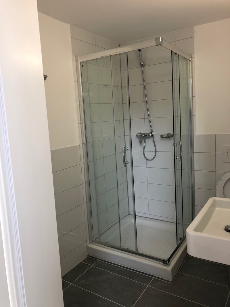 Appartement maisonnette moderne 4.5 pièces à Beinwil am See – disponible immédiatement (17)