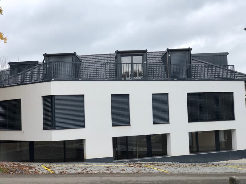 Appartement maisonnette moderne 4.5 pièces à Beinwil am See – disponible immédiatement (21)
