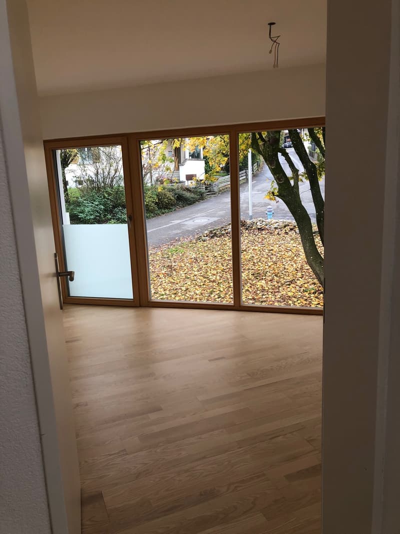 Appartement maisonnette moderne 4.5 pièces à Beinwil am See – disponible immédiatement (15)