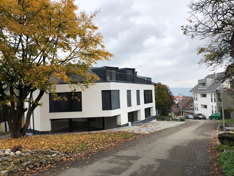 Appartement maisonnette moderne 4.5 pièces à Beinwil am See – disponible immédiatement (19)