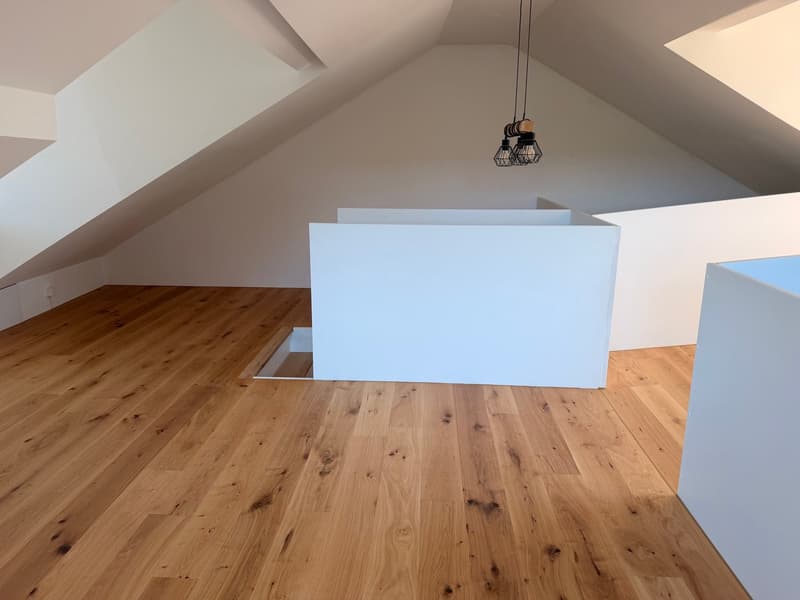 Appartement maisonnette moderne 4.5 pièces à Beinwil am See – disponible immédiatement (4)