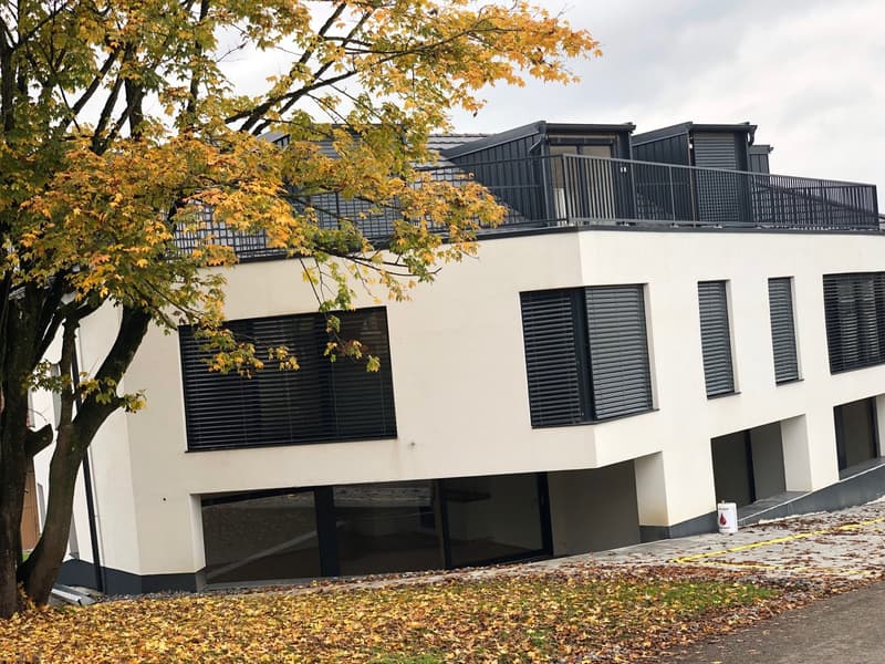 Appartement maisonnette moderne 4.5 pièces à Beinwil am See – disponible immédiatement (20)