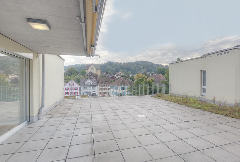 Othmarsingen_Matten11_4.5_Attika_Web_14