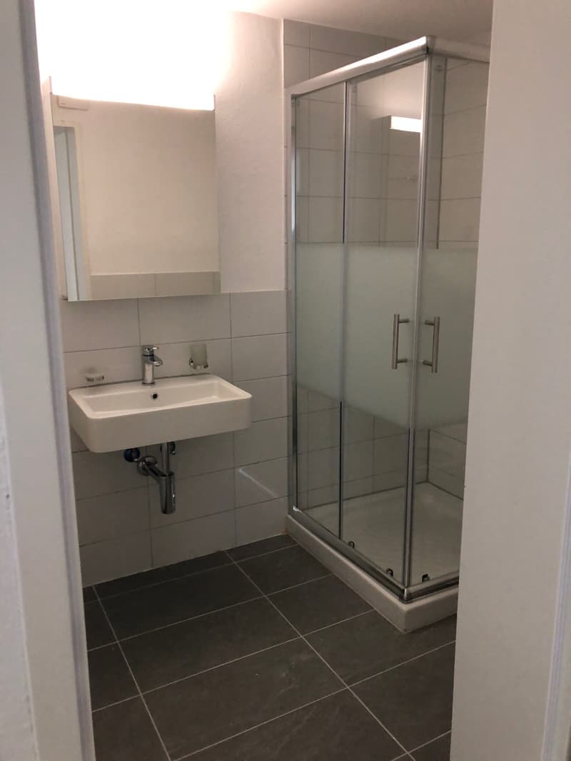 Moderne 2.5-Zimmer-Wohnung mit Balkon in Beinwil am See – sofort verfügbar! (17)