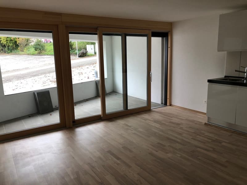 Moderne 2.5-Zimmer-Wohnung mit Balkon in Beinwil am See – sofort verfügbar! (16)
