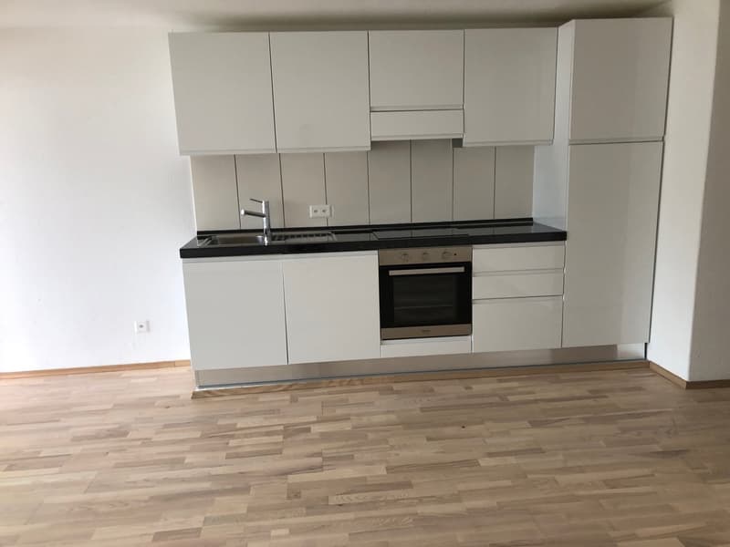 Moderne 2.5-Zimmer-Wohnung mit Balkon in Beinwil am See – sofort verfügbar! (15)