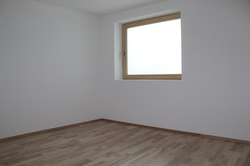 Moderne 2.5-Zimmer-Wohnung mit Balkon in Beinwil am See – sofort verfügbar! (3)