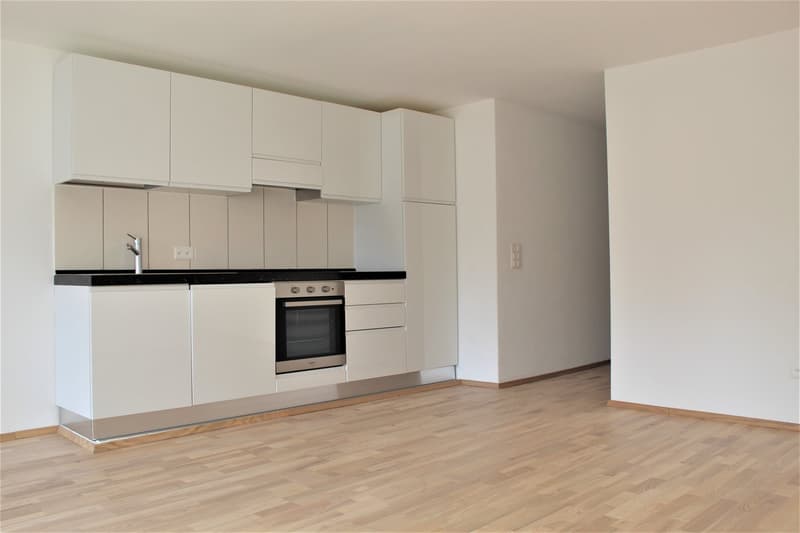 Moderne 2.5-Zimmer-Wohnung mit Balkon in Beinwil am See – sofort verfügbar! (13)