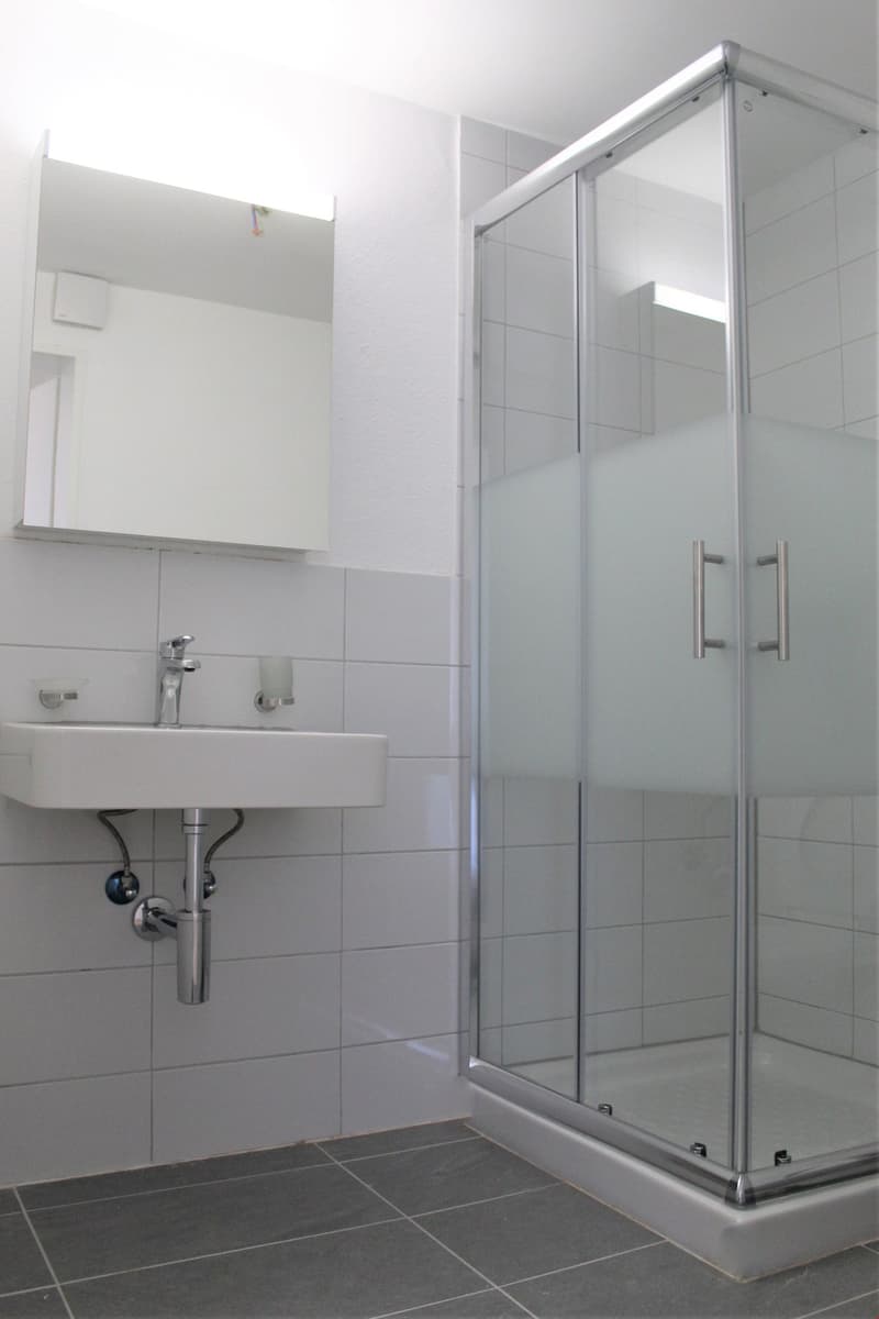 Moderne 2.5-Zimmer-Wohnung mit Balkon in Beinwil am See – sofort verfügbar! (9)