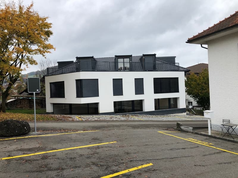 Moderne 2.5-Zimmer-Wohnung mit Balkon in Beinwil am See – sofort verfügbar! (1)
