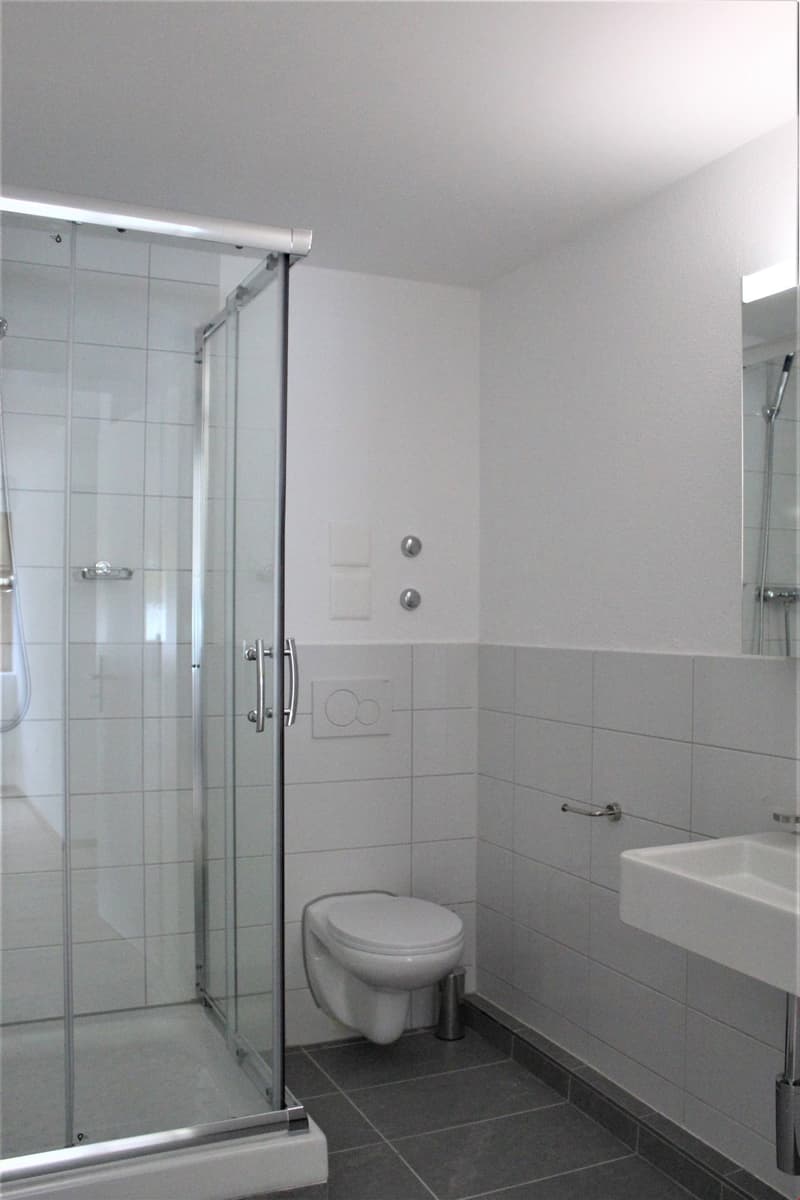 Moderne 2-Zimmer-Wohnung mit Balkon in Beinwil am See – ab sofort verfügbar (5)