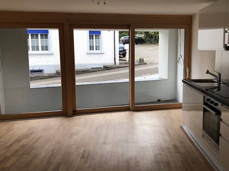 Moderne 2-Zimmer-Wohnung mit Balkon in Beinwil am See – ab sofort verfügbar (19)