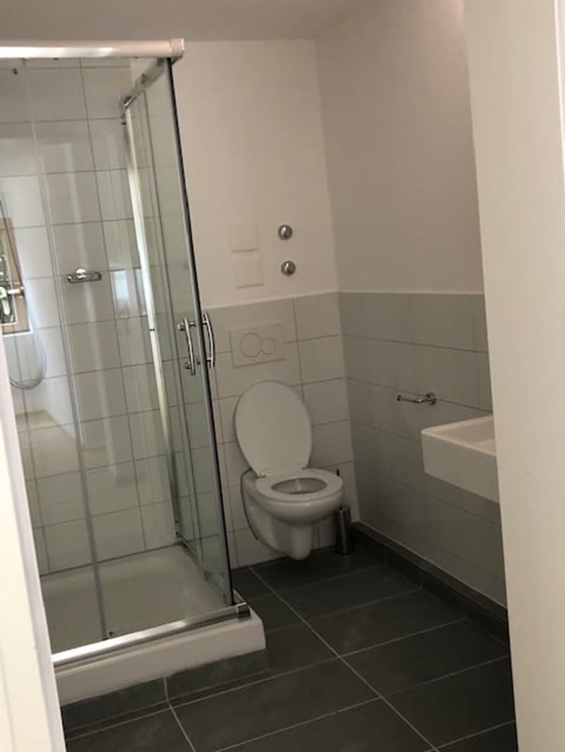 Moderne 2-Zimmer-Wohnung mit Balkon in Beinwil am See – ab sofort verfügbar (22)