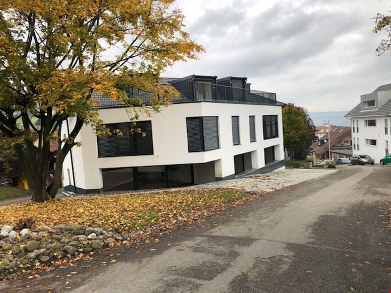 Moderne 2-Zimmer-Wohnung mit Balkon in Beinwil am See – ab sofort verfügbar (12)